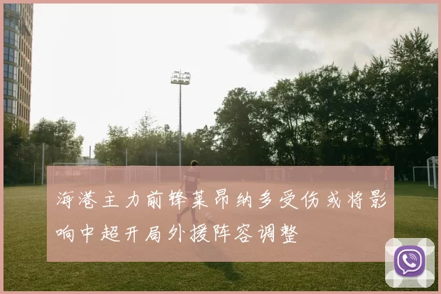 海港主力前锋莱昂纳多受伤或将影响中超开局外援阵容调整