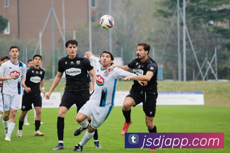 App Interface Preview